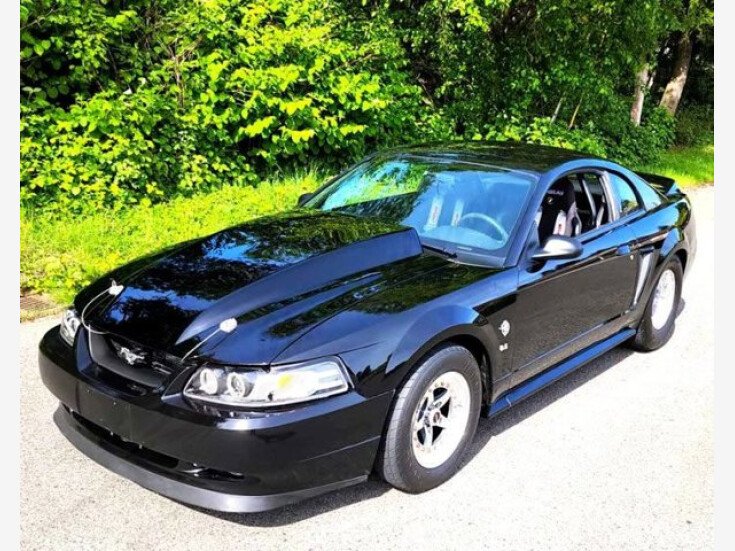 Thumbnail Photo undefined for 1999 Ford Mustang